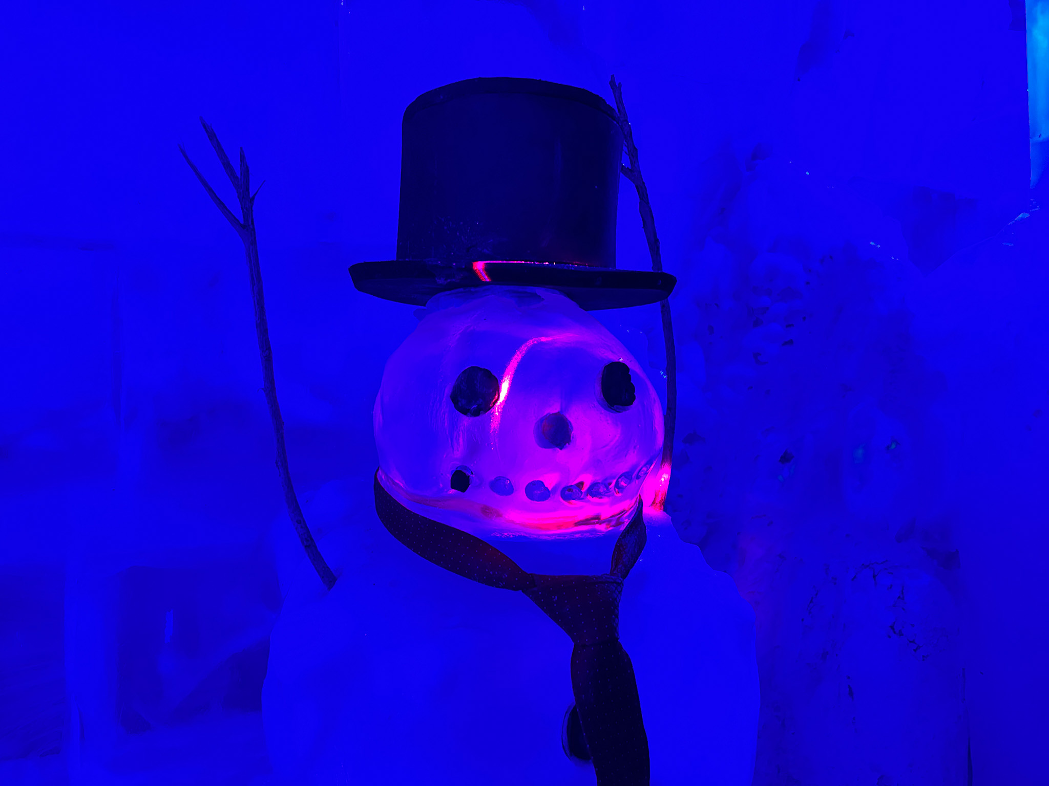 Dentro do Ice Bar já esculturas diversas como decoração Dentro do Ice Bar já esculturas diversas como decoração