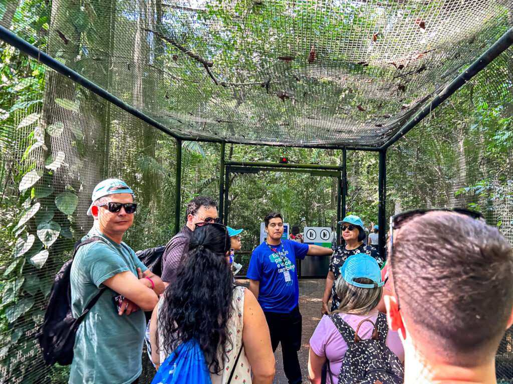 Em diversos viveiros há uma passagem de segurança, a fim de evitar que as aves saiam Em diversos viveiros há uma passagem de segurança, a fim de evitar que as aves saiam