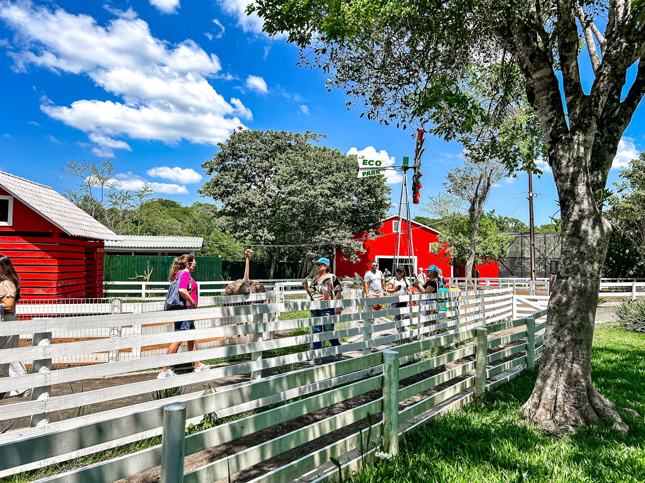 O Eco Park está formatado como uma pequena fazenda O Eco Park está formatado como uma pequena fazenda