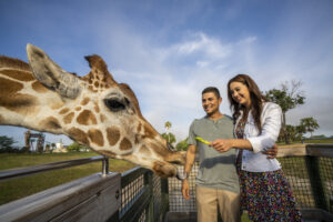 Faça da visita ao SeaWorld, Busch Gardens, Aquatica ou Discovery Cove ainda mais completa