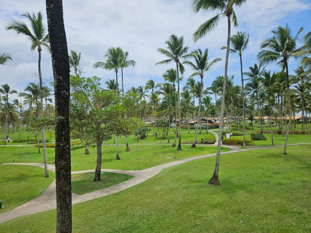 Coqueiro Azul: veja fotos das atividades da manhã desta segunda-feira no Transamérica Resort Comandatuba Coqueiro Azul: veja fotos das atividades da manhã desta segunda-feira no Transamérica Resort Comandatuba