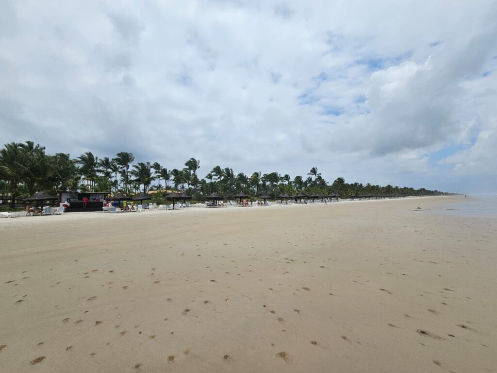 Coqueiro Azul: veja fotos das atividades da manhã desta segunda-feira no Transamérica Resort Comandatuba Coqueiro Azul: veja fotos das atividades da manhã desta segunda-feira no Transamérica Resort Comandatuba