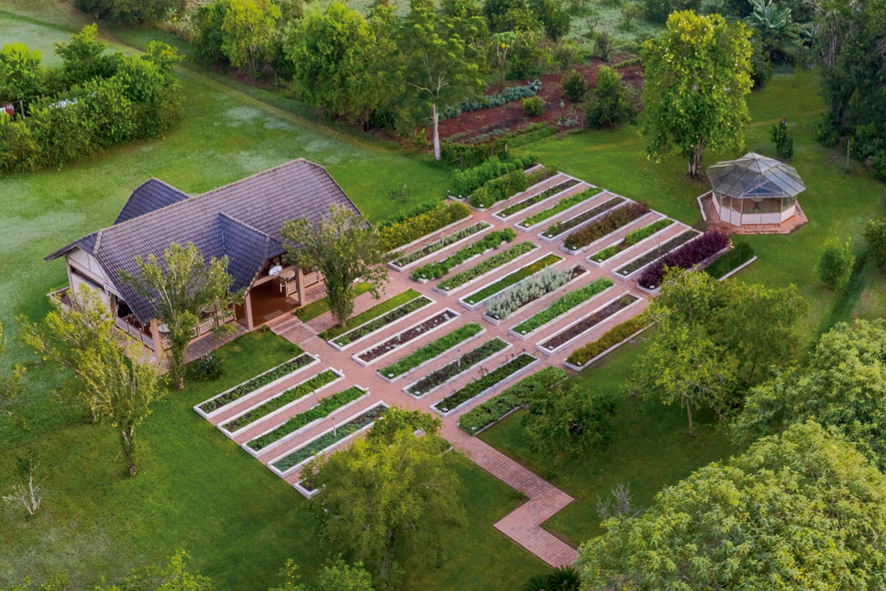 Resort mantém cultivo com mais de 70 opções de chás 1 emp Resort mantém cultivo com mais de 70 opções de chás
