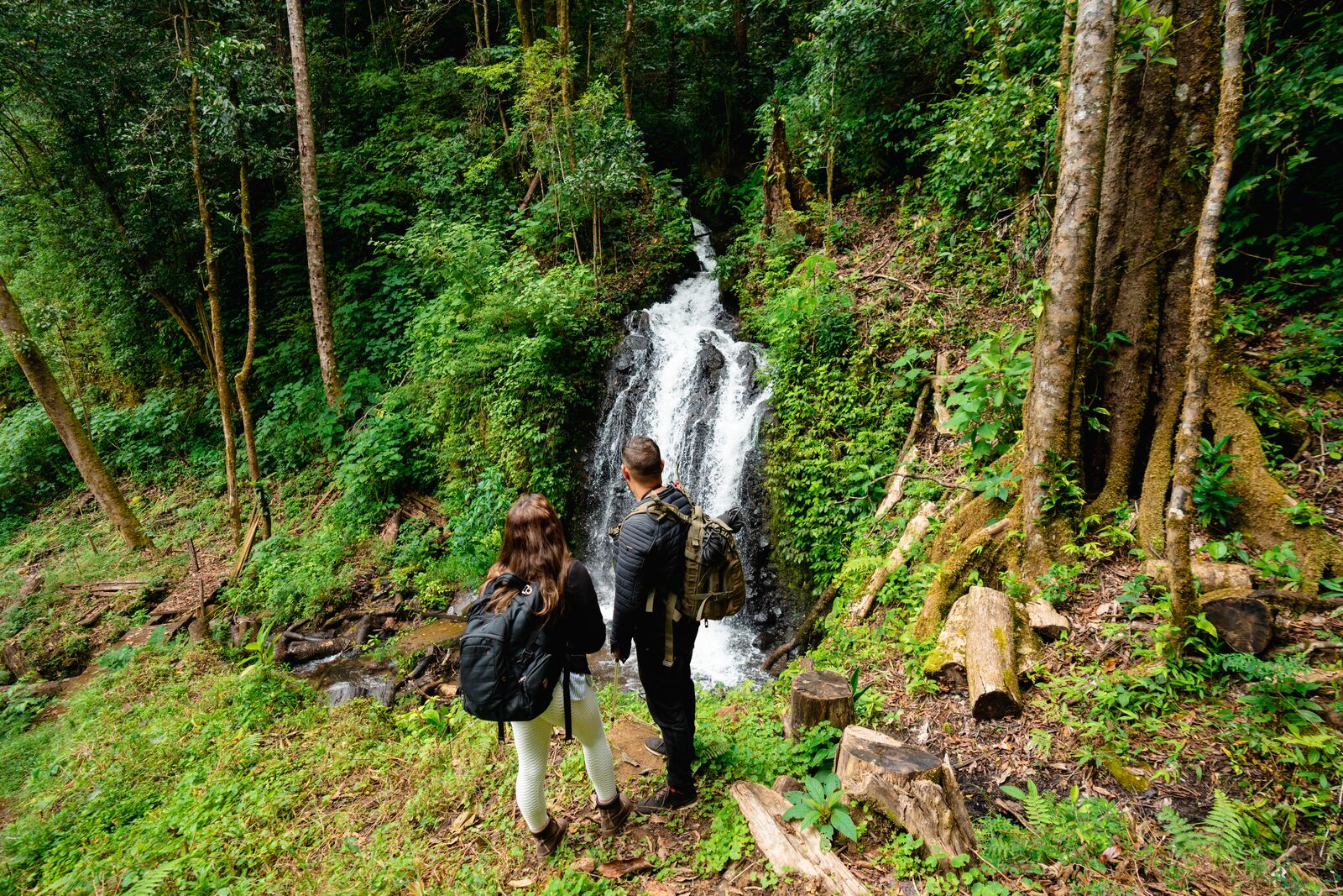 Panamá é o destino ideal para explorar trilhas e belezas naturais 3 large Mount totumas La Amistad International Park Chiriqui 769 province Panamá é o destino ideal para explorar trilhas e belezas naturais