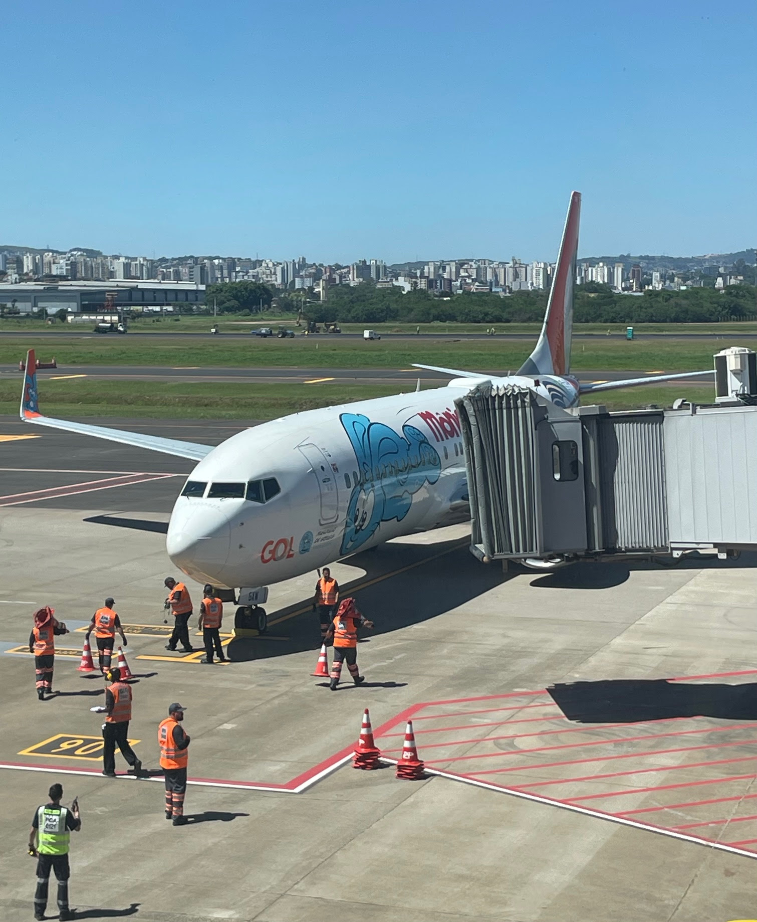 A a aeronave temática Mônica 60 fez o percurso com serviço de bordo e atrações especiais A a aeronave temática Mônica 60 fez o percurso com serviço de bordo e atrações especiais