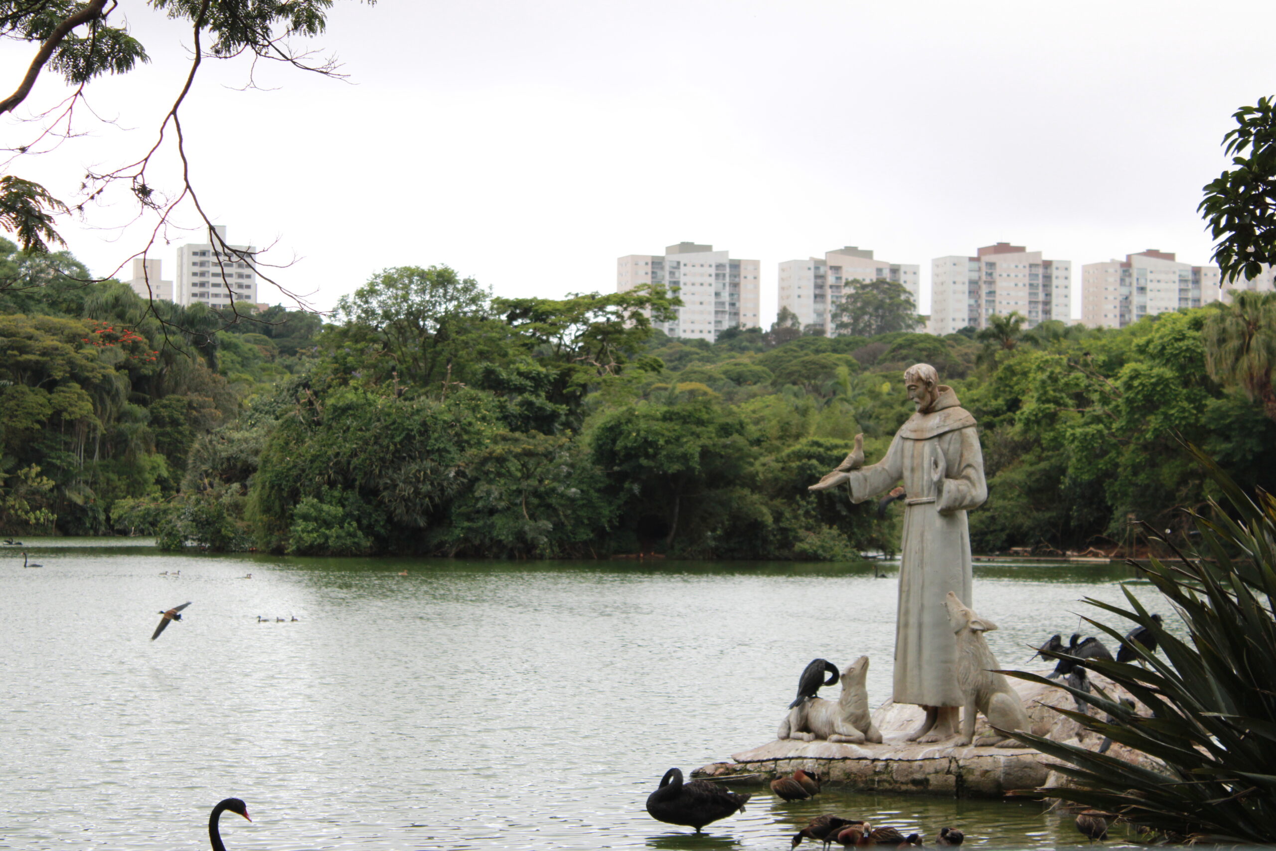 Estátua de São Francisco de Assis, padroeiro dos animais