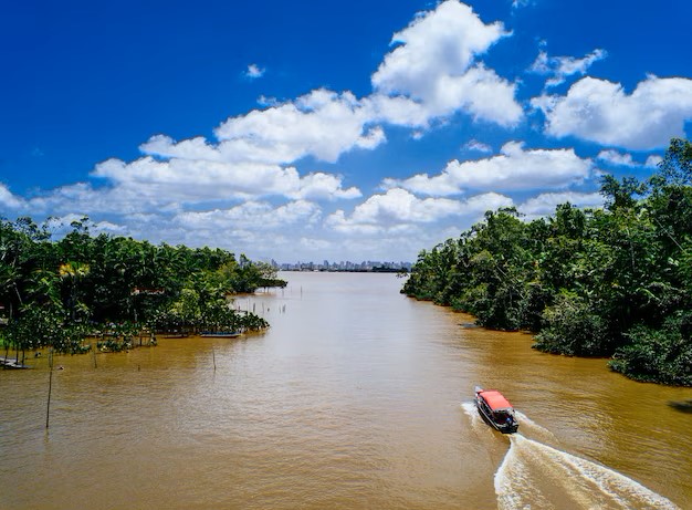 SOS Pantanal alerta para o risco de o Pantanal perder o título de Patrimônio Natural da Humanidade 1 Oant Esta SOS Pantanal alerta para o risco de o Pantanal perder o título de Patrimônio Natural da Humanidade