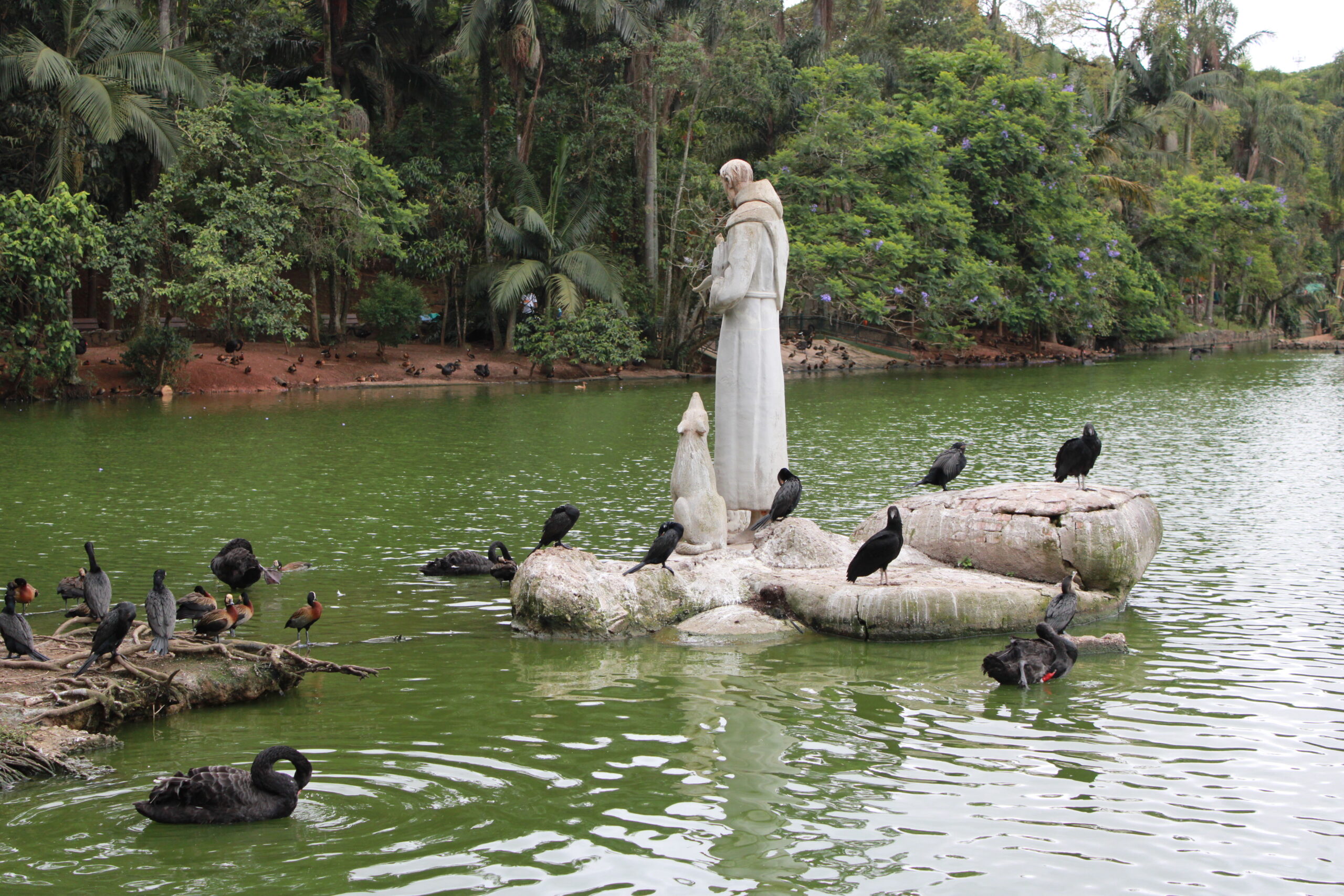Vários animais ficam em volta da estátua do santo