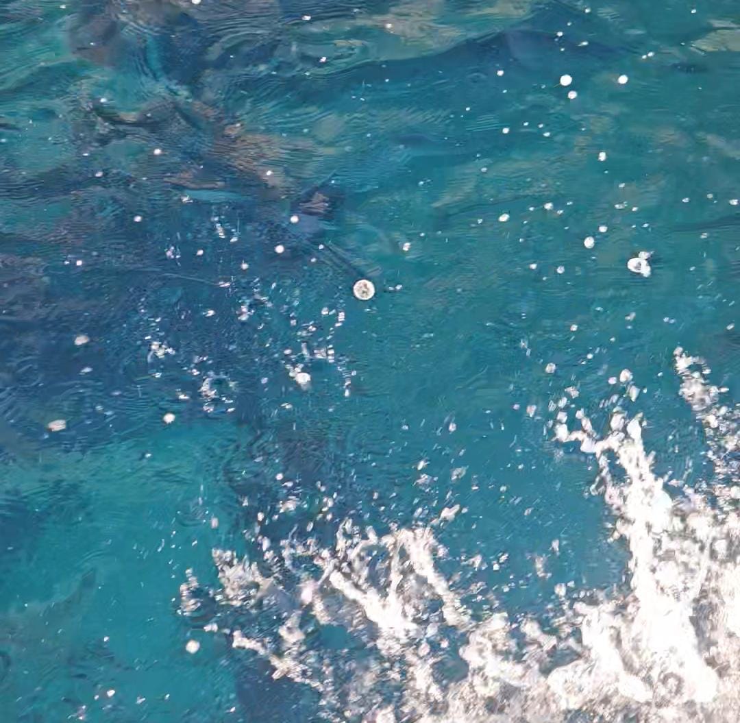 A cor da água é simplesmente incrível! A cor da água é simplesmente incrível!