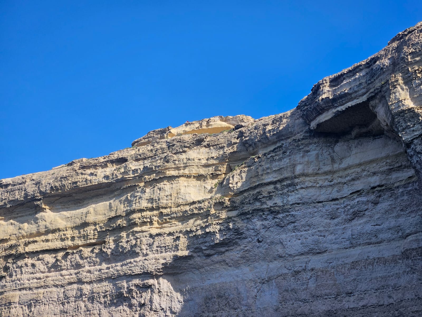 As rochas do topo parecem um crocodilo As rochas do topo parecem um crocodilo