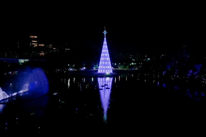 Natal no Parque Ibirapuera terá árvore de 57 metros e acessibilade para PCDs 1 natal ibirapuera Natal no Parque Ibirapuera terá árvore de 57 metros e acessibilade para PCDs