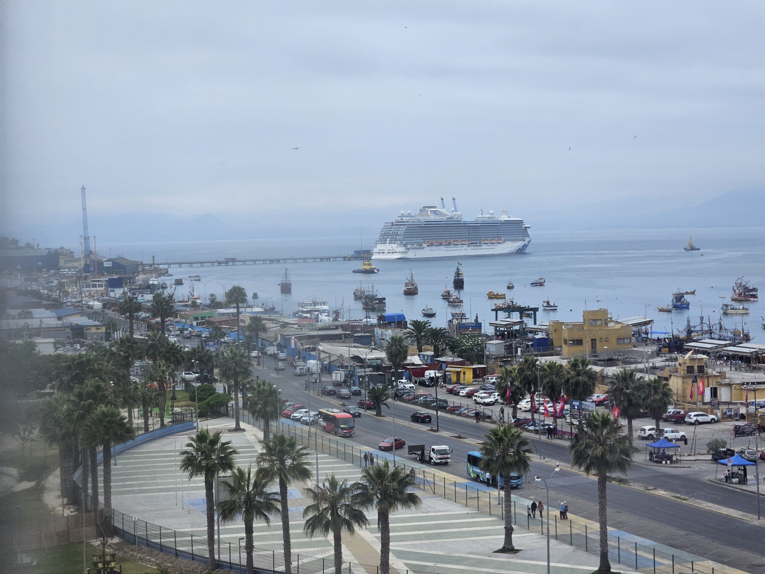 Vista do Majestic Princess pelo mirante do VIVO Mall Coquimbo Vista do Majestic Princess pelo mirante do VIVO Mall Coquimbo