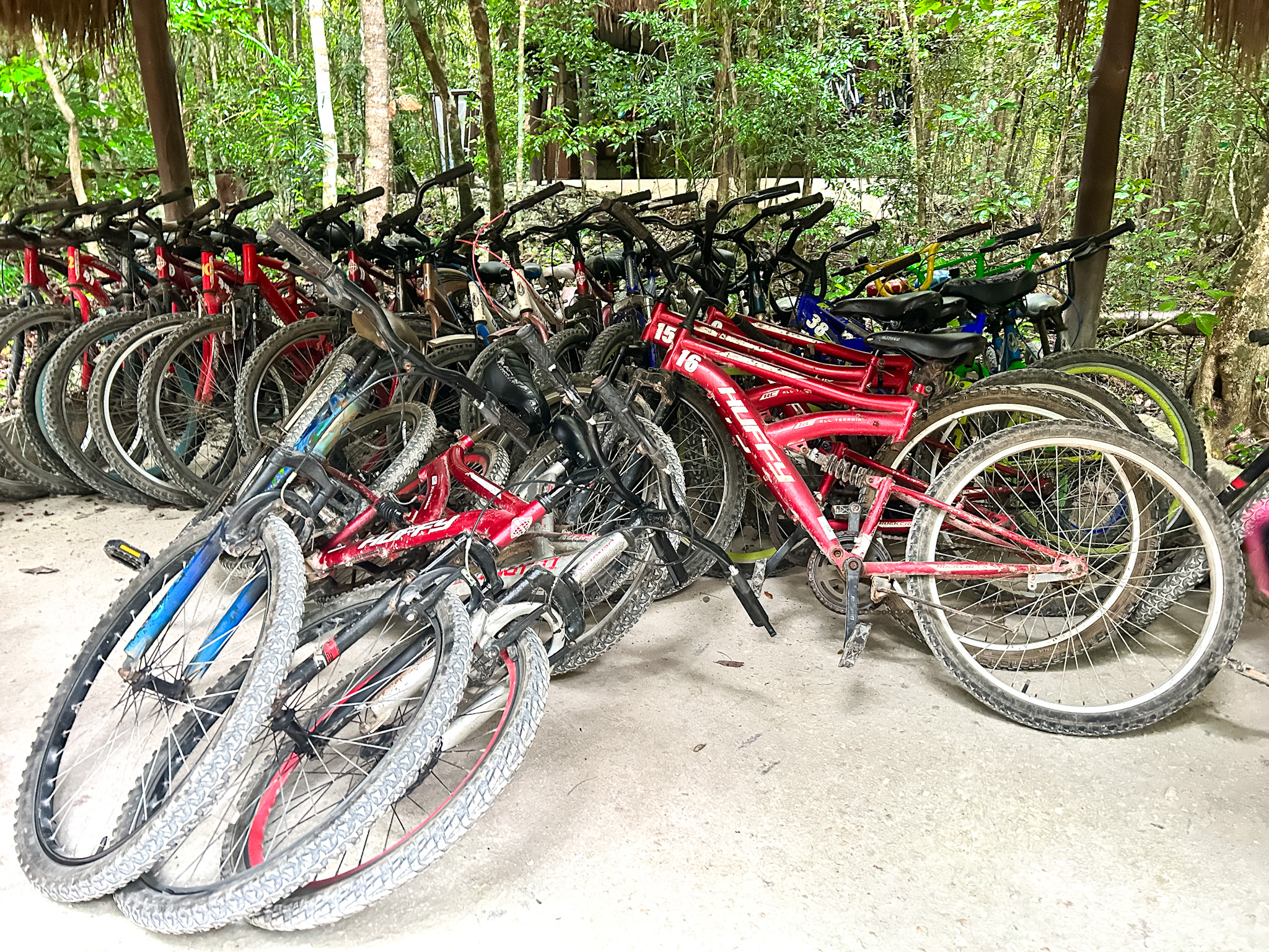 As trilhas podem ser feitas a pé ou de bicicleta no complexo Cenotes Zapote As trilhas podem ser feitas a pé ou de bicicleta no complexo Cenotes Zapote
