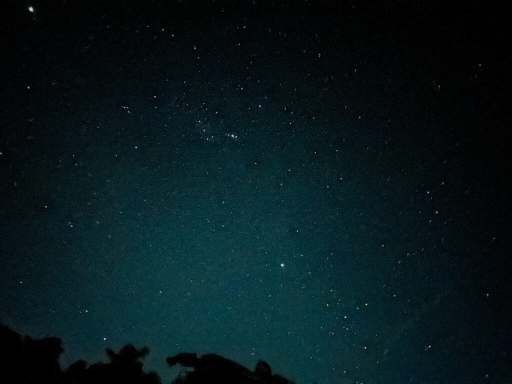 Céu estrelado na Amazônia