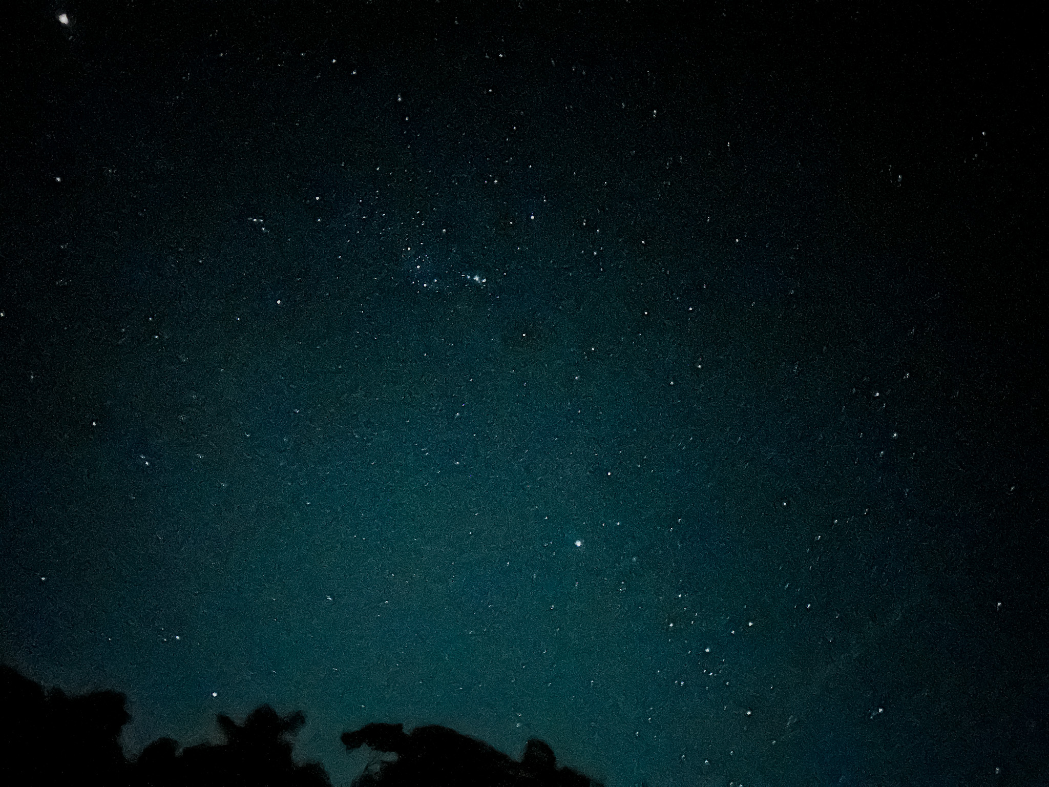 Céu estrelado na Amazônia