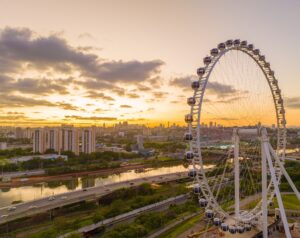 Profissionais são convidados para desfrutar de um dia de lazer na atração turística de São Paulo para comemorarem a data (Divulgação/Roda Rico)