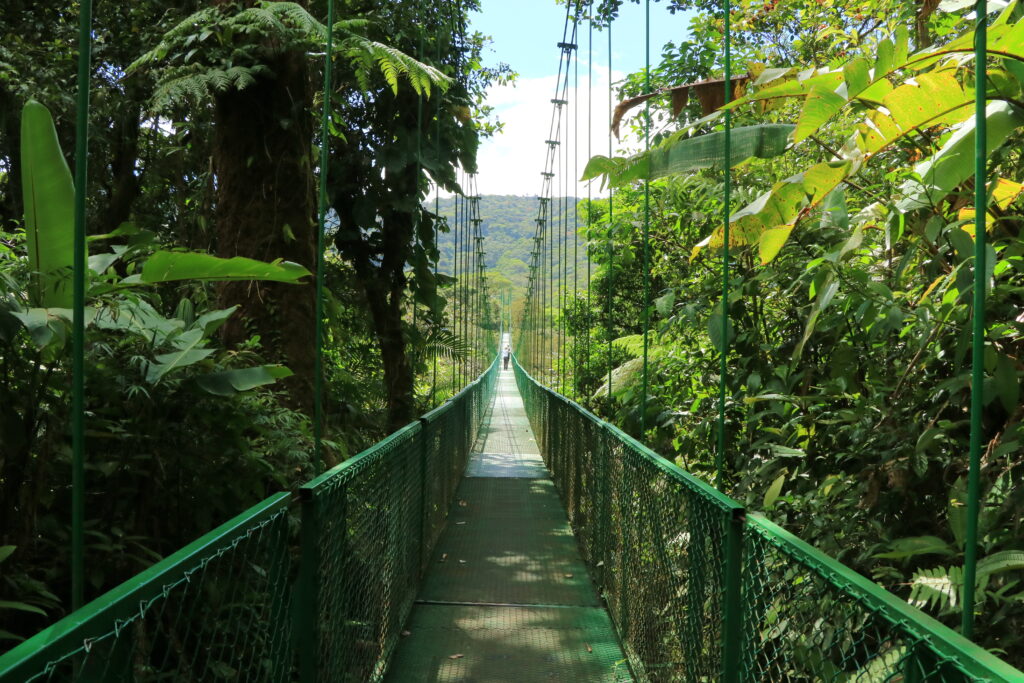 Costa Rica atrai 25,6% mais turistas brasileiros no primeiro semestre de 2025 Costa Rica atrai 25,6% mais turistas brasileiros no primeiro semestre de 2025