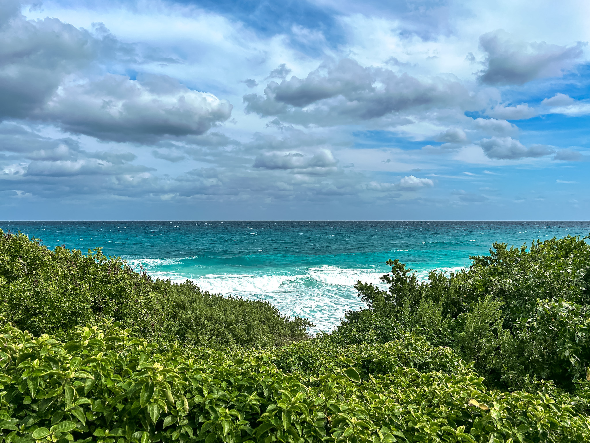 É possível explorar recifes de coral vibrantes e nadar com diversas espécies marinhas em Isla Mujeres É possível explorar recifes de coral vibrantes e nadar com diversas espécies marinhas em Isla Mujeres