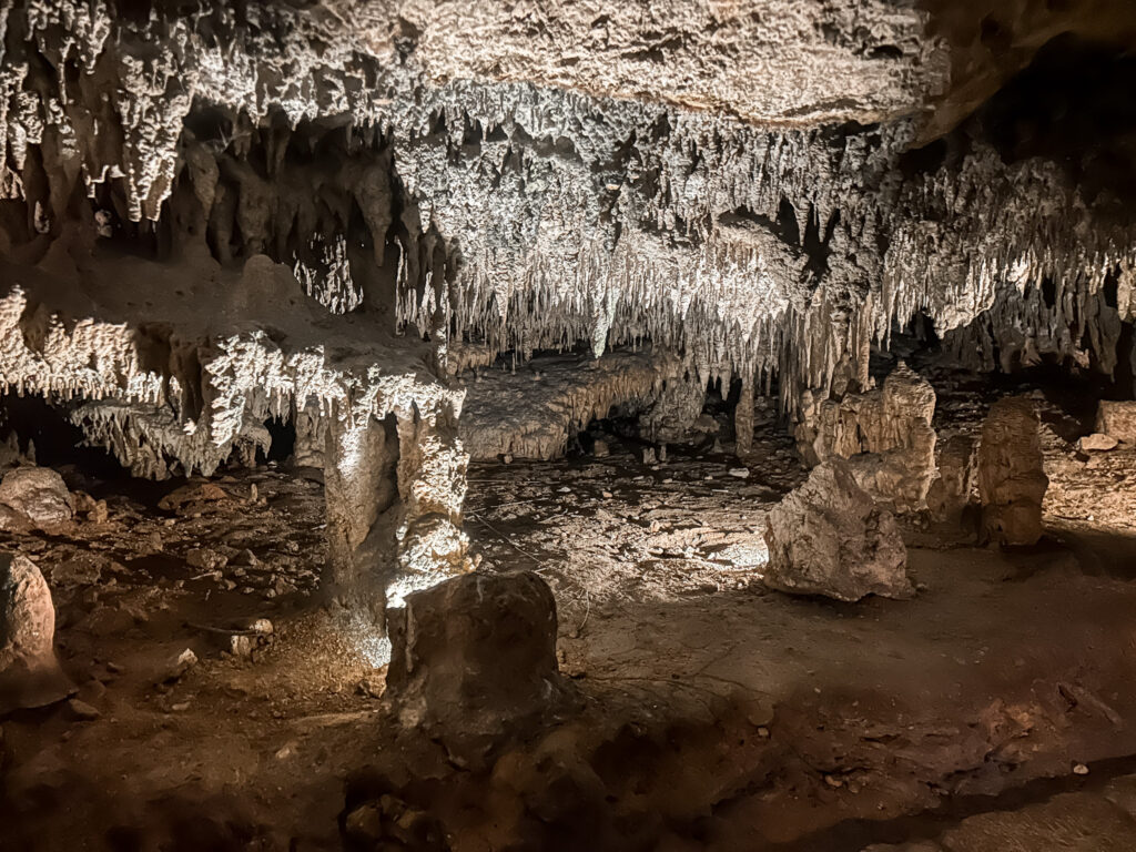 As cavernas e trilhas na selva são iluminadas por tochas e luzes de LED As cavernas e trilhas na selva são iluminadas por tochas e luzes de LED