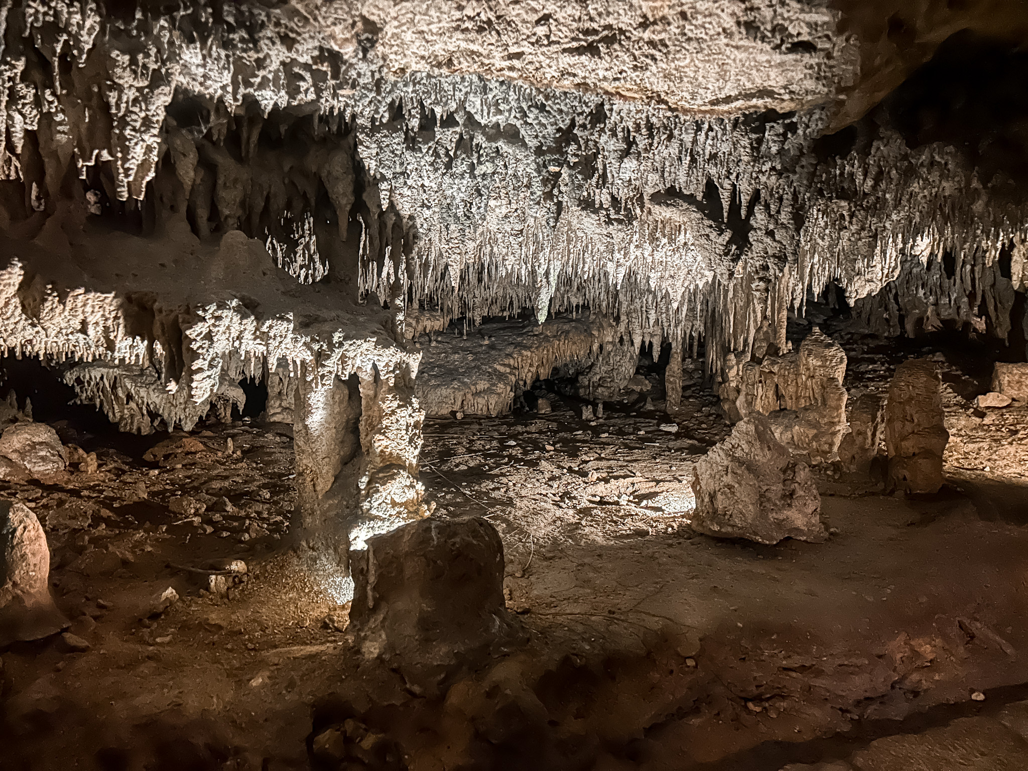 As cavernas e trilhas na selva são iluminadas por tochas e luzes de LED As cavernas e trilhas na selva são iluminadas por tochas e luzes de LED