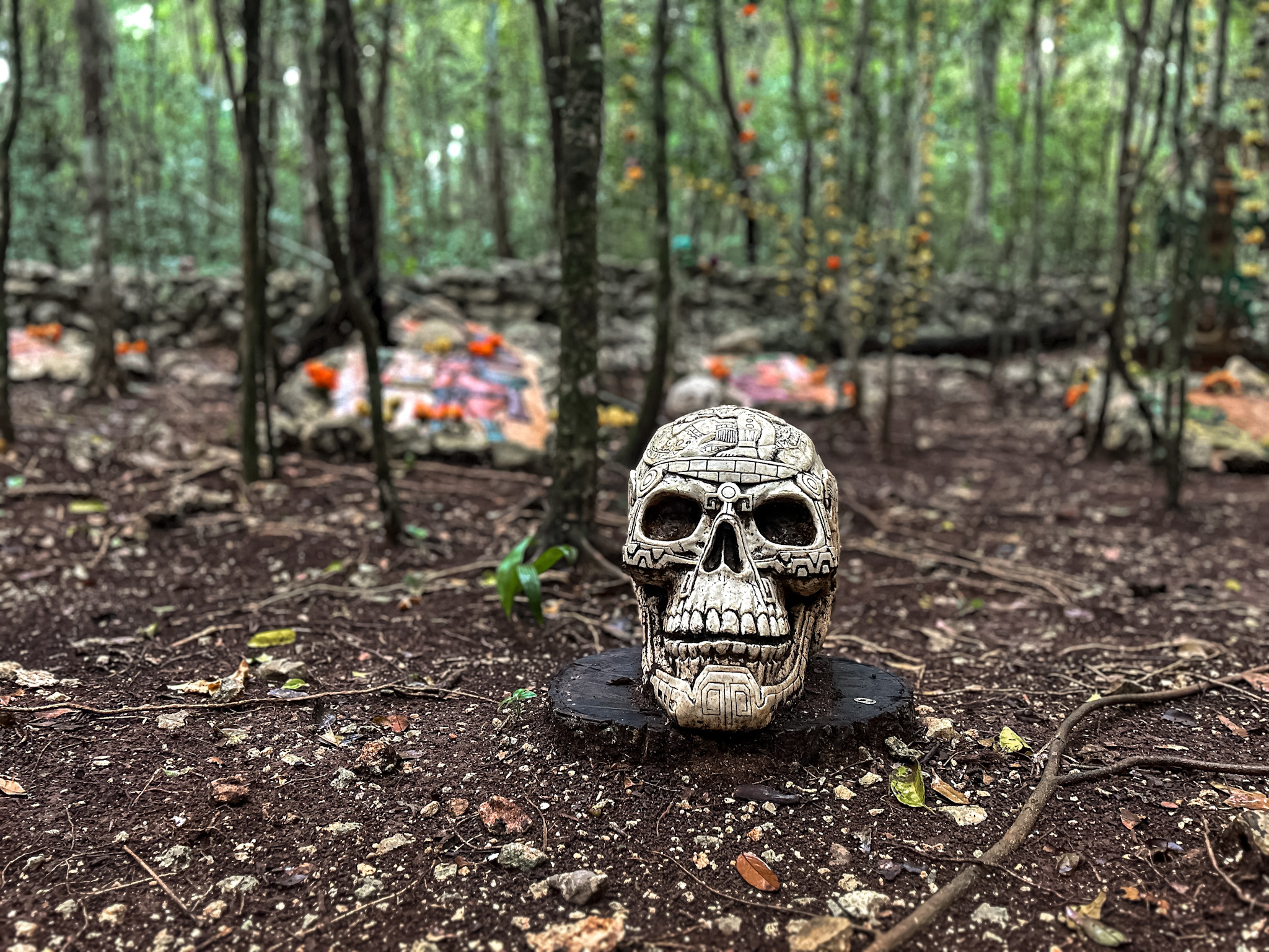 No complexo Cenote Zapote há homenagens aos espíritos da floresta e anciões No complexo Cenote Zapote há homenagens aos espíritos da floresta e anciões