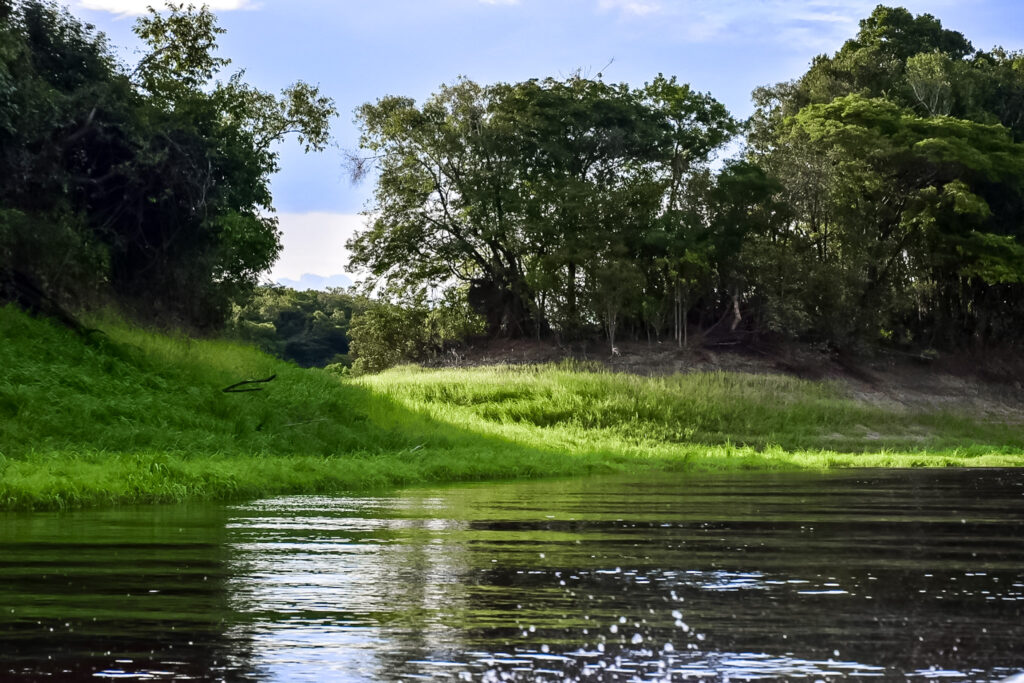 Paisagens ímpares são observadas na Amazônia