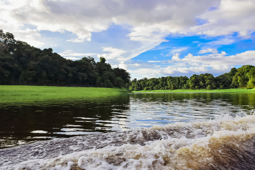 Pelo Rio Negro, o passeio oferece um show de cores vibrantes
