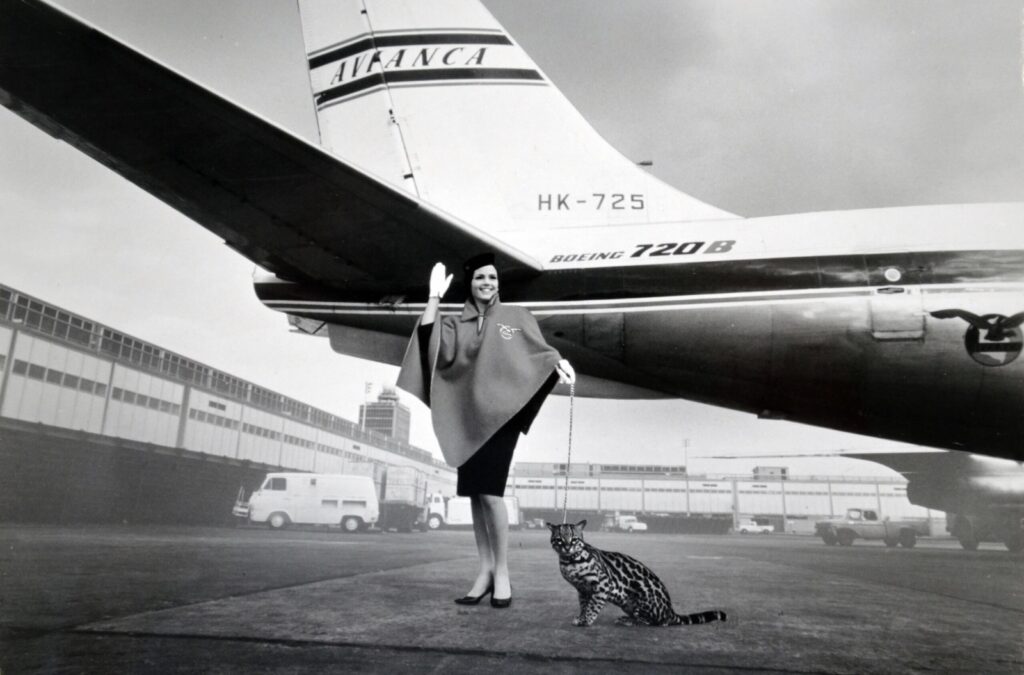 WhatsApp Image 2024 12 09 at 17.40.16 1 Avianca: 105 anos de história em 105 marcos; confira