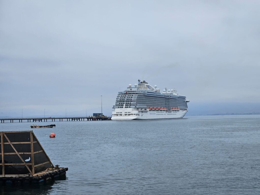 Majestic Princess visto de Coquimbo