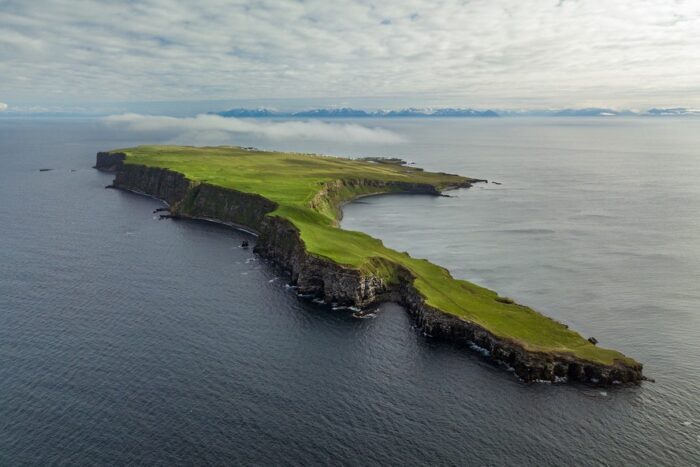 Ilha europeia possui 50 mil pássaros para cada habitante; descubra qual 1 grimsey a ilha artica onde vivem 20 pessoas e um milhao de passaros2 e1735499102999 Ilha europeia possui 50 mil pássaros para cada habitante; descubra qual