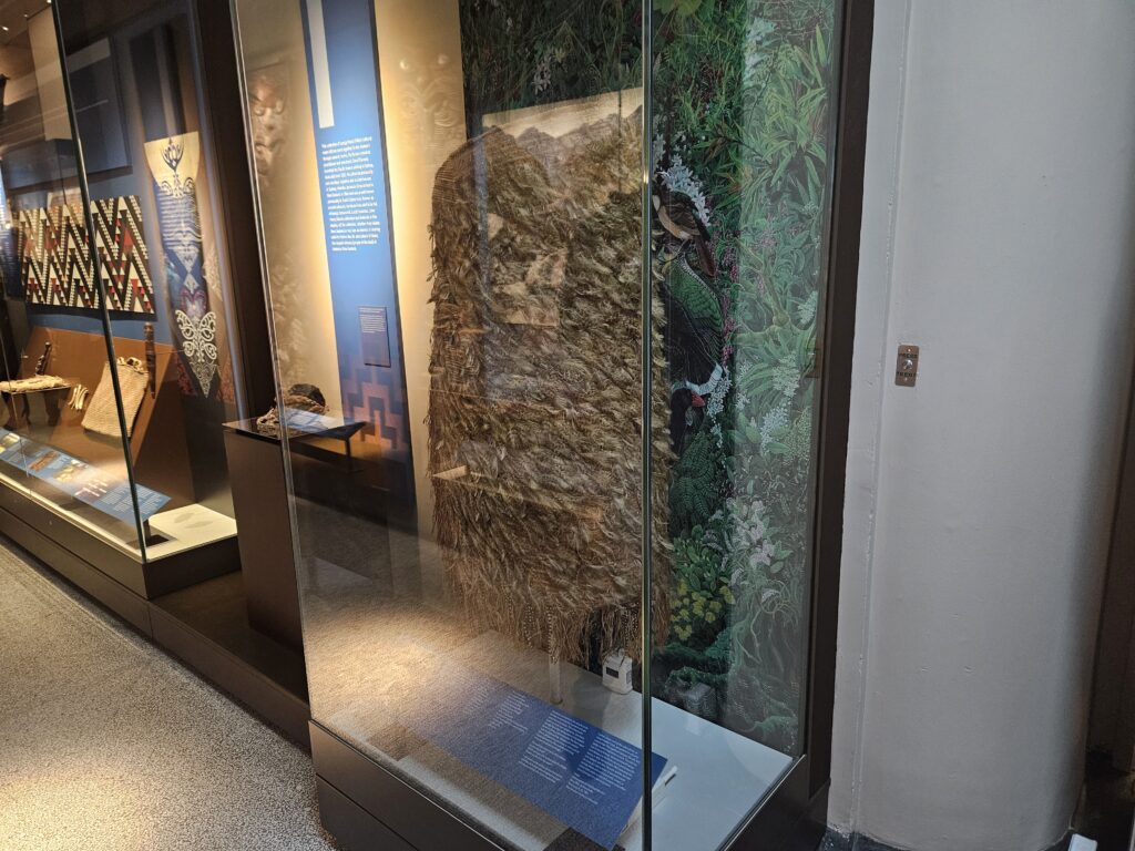 Os kākāpõ, ou papagaios da noite, são tesouros vivos para os maoris, que usavam vestimentas feitas com suas penas como forma de criar uma conexão cultural e espiritual com a ave; esse exemplar só existe no Museu de Perth