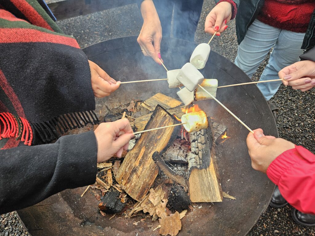 Marshmallow assado na fogueira