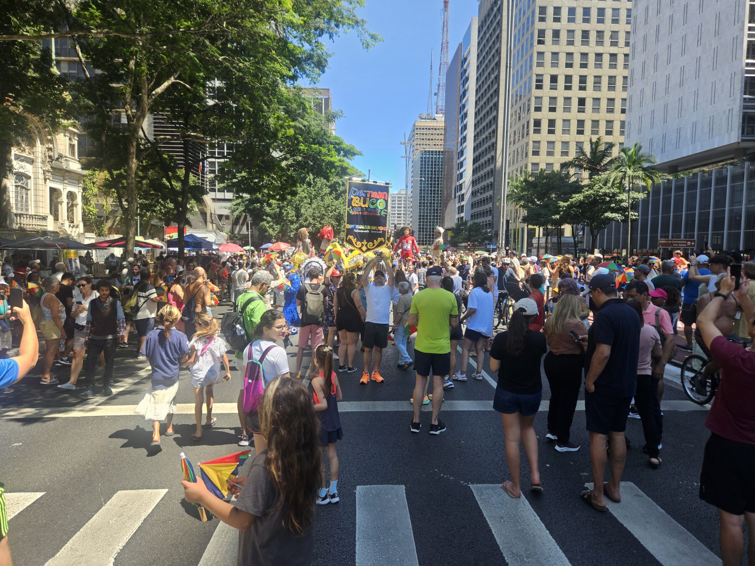 Cortejo arrasta multidão pela Av. Paulista neste domingo (16)