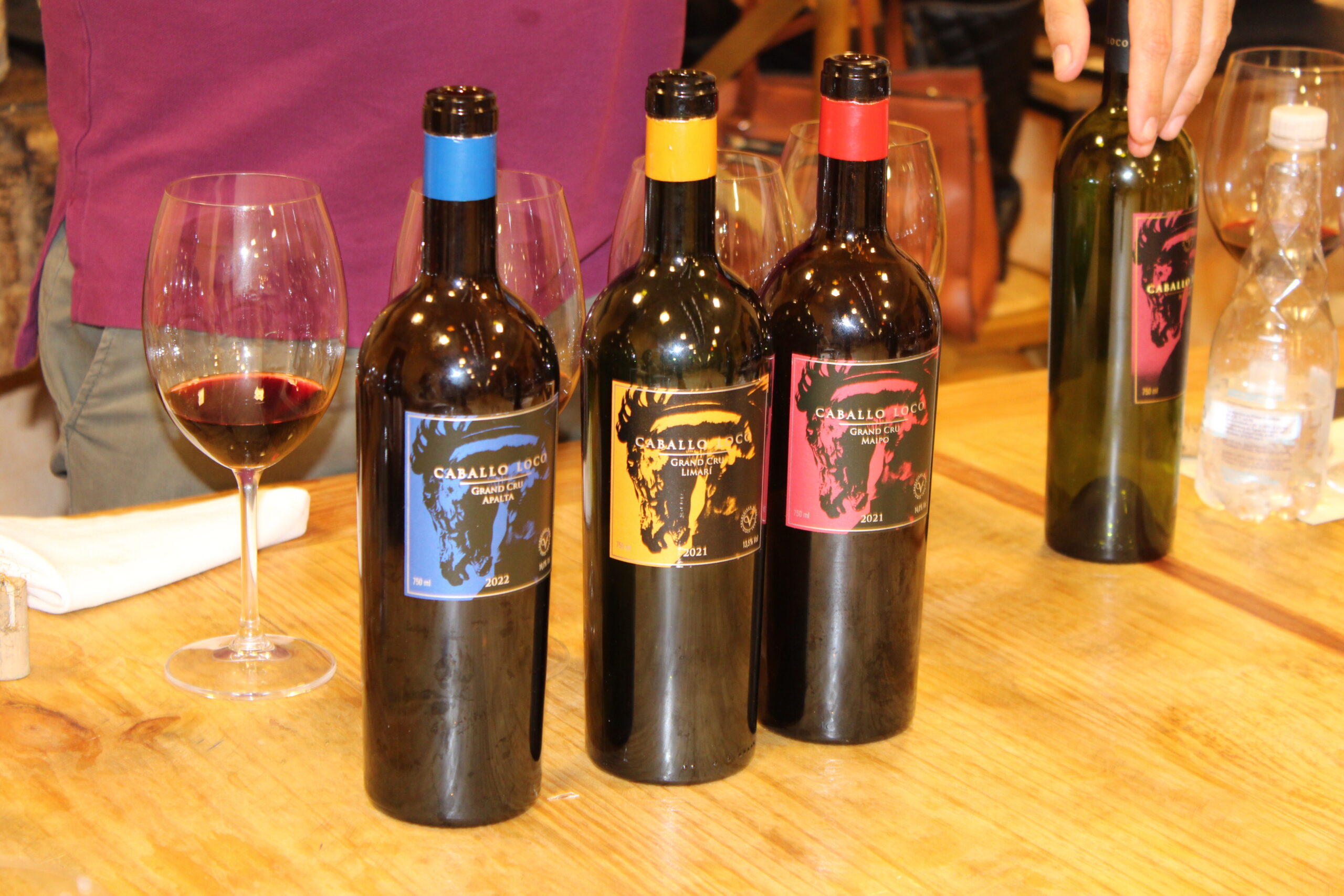 Vinhos chilenos que compuseram a degustação Vinhos chilenos que compuseram a degustação