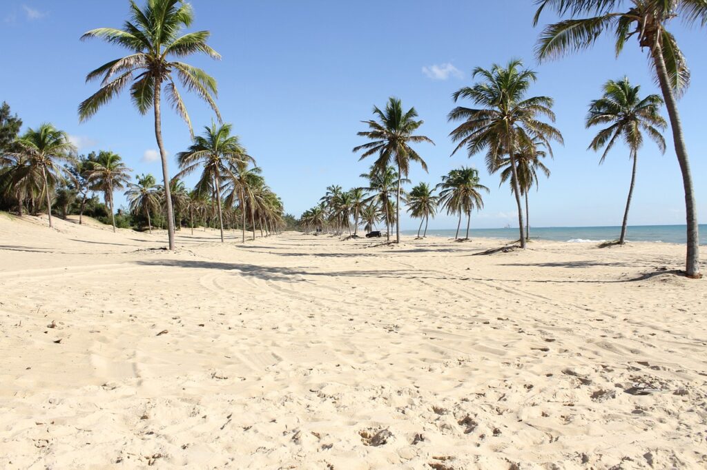 fortress 459573 1280 Turismo no Ceará cresce no último trimestre de 2024 e supera índices brasileiros
