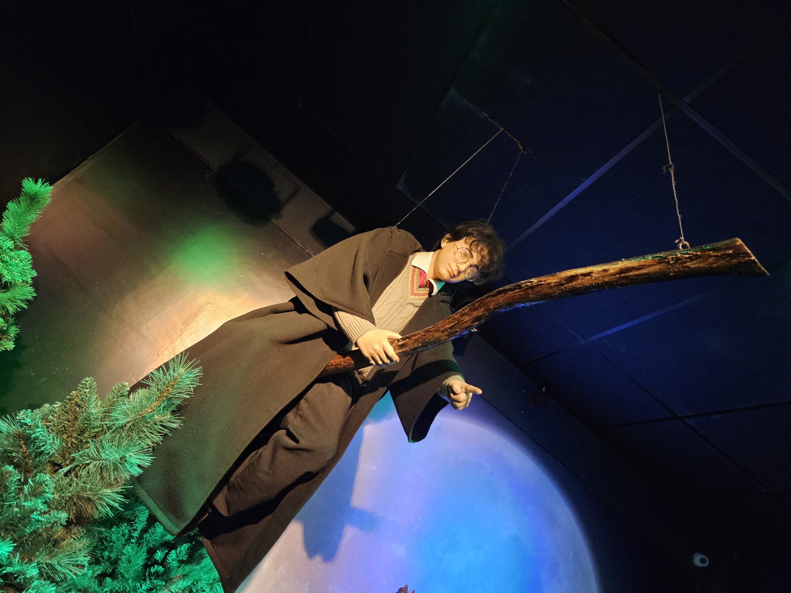 Harry Potter Harry Potter