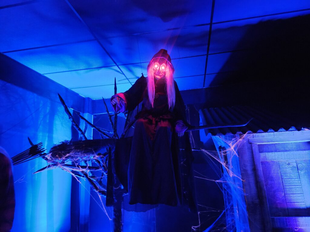 Bruxa Bruxa