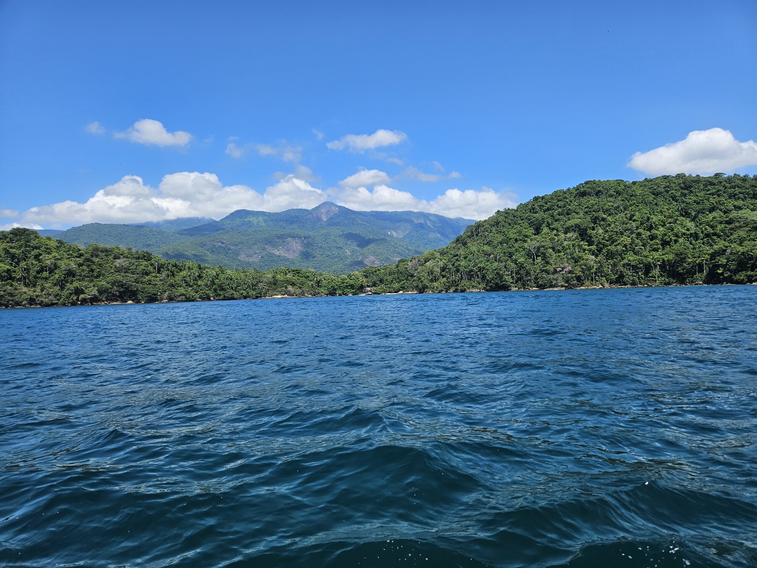 A Ilha Grande possui 193 km² de área