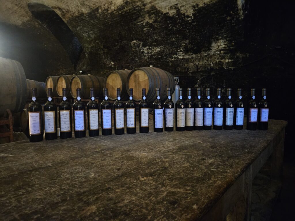Vinhos de Juanico