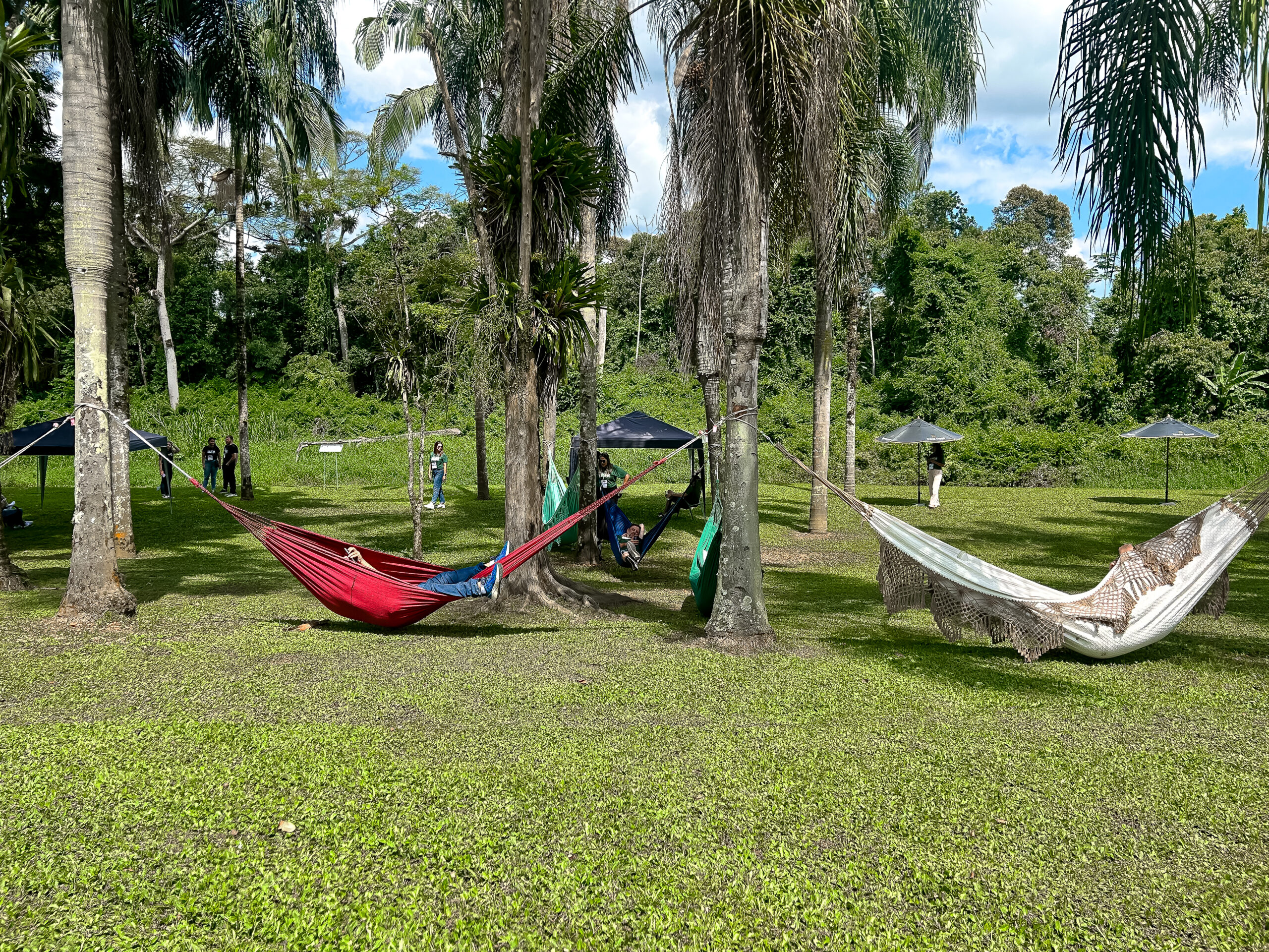 Diversas redes estão disponíveis na Stazione