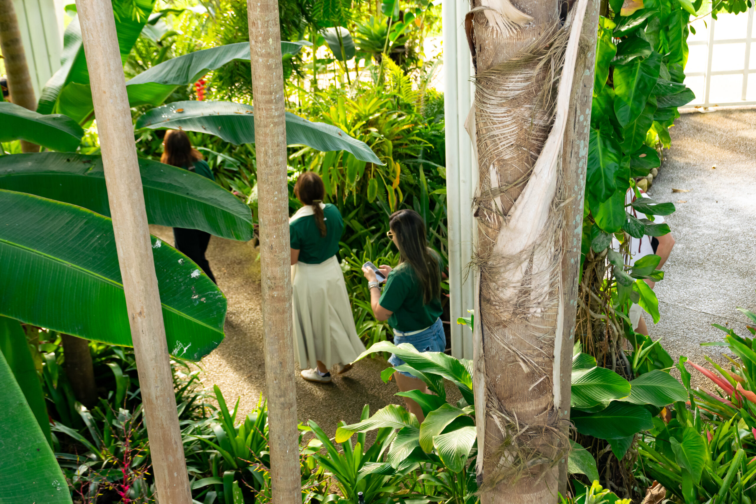 Os agentes puderam visitar o interior da estufa no Jardim Botânico