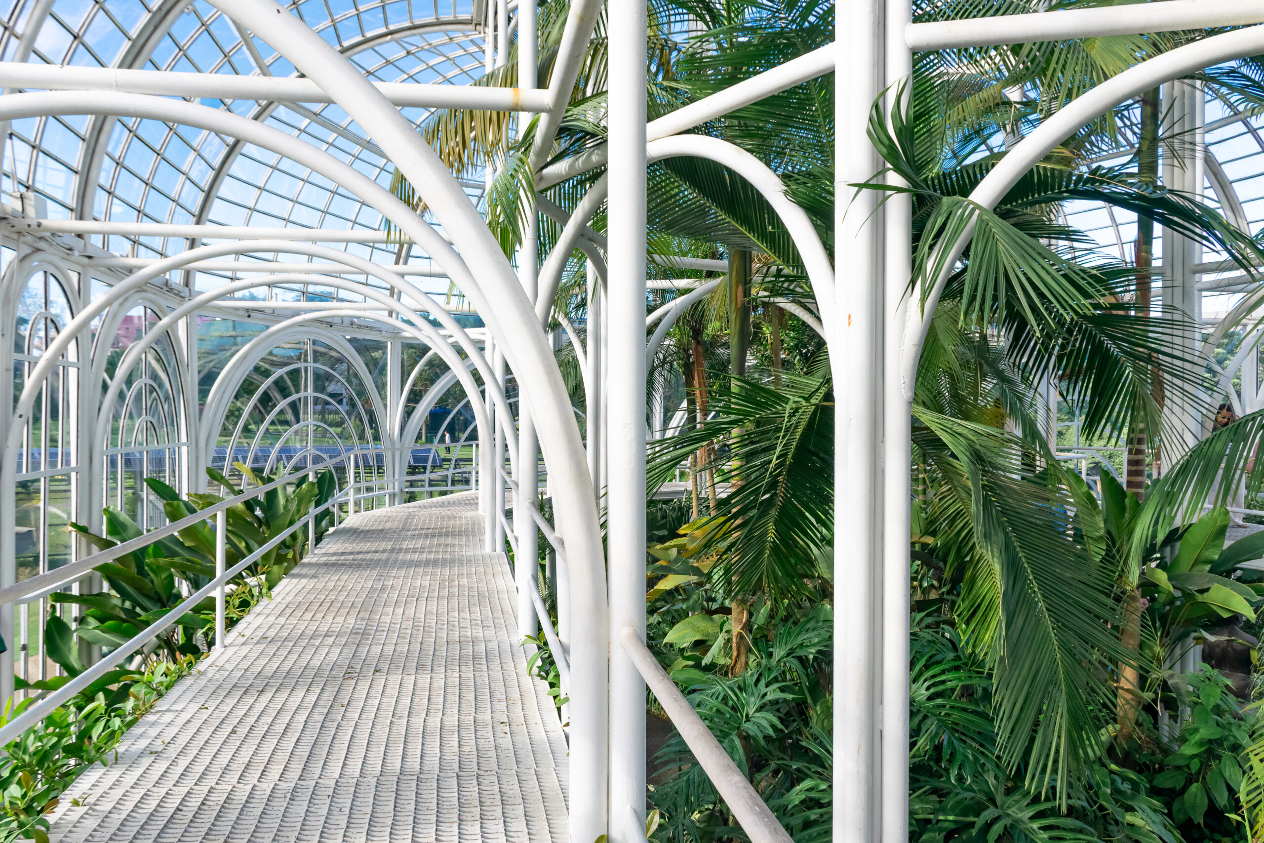 Uma passarela de 360° circunda o interior da estufa