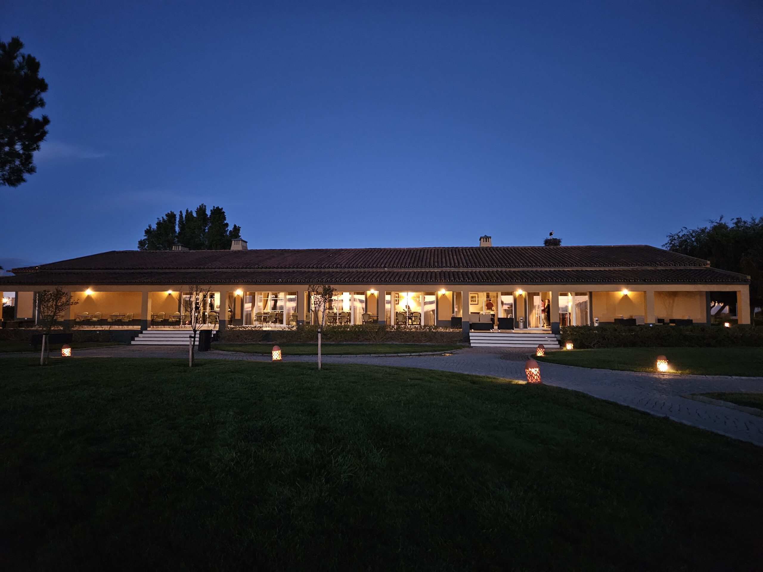 Vila Galé Vineyards