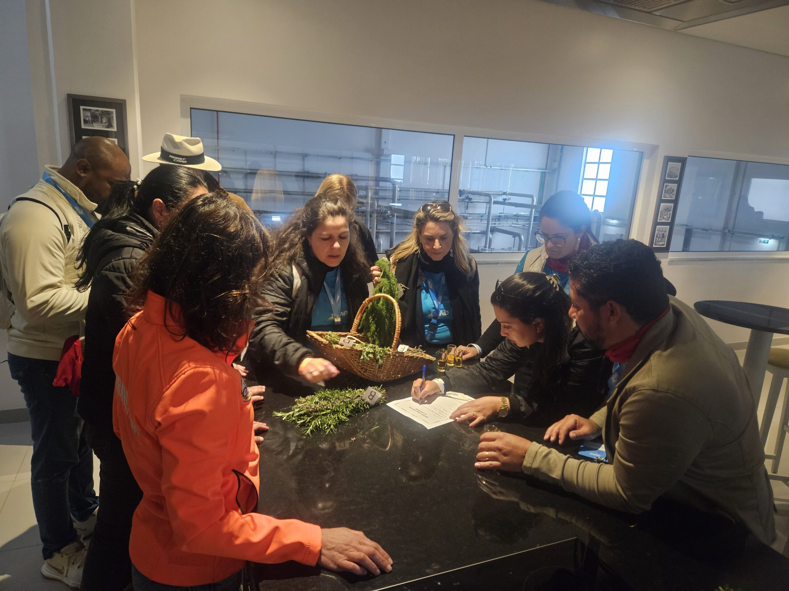 Prova de aromas Prova de aromas