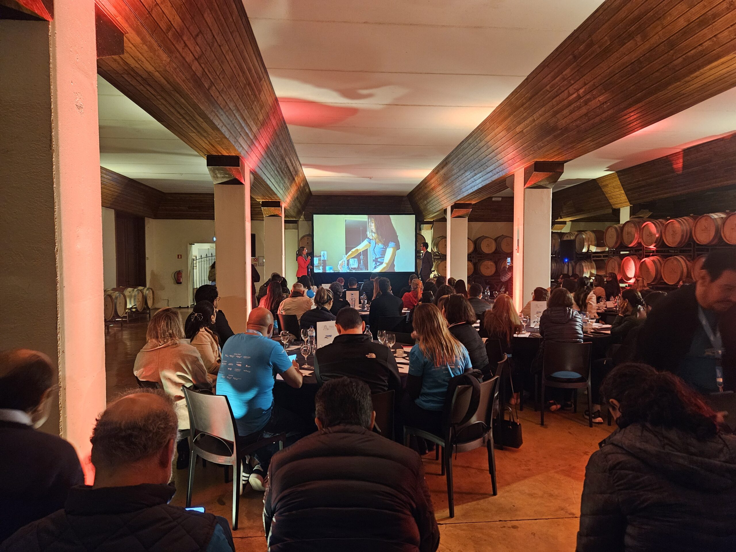 Portugal Experience Portugal Experience