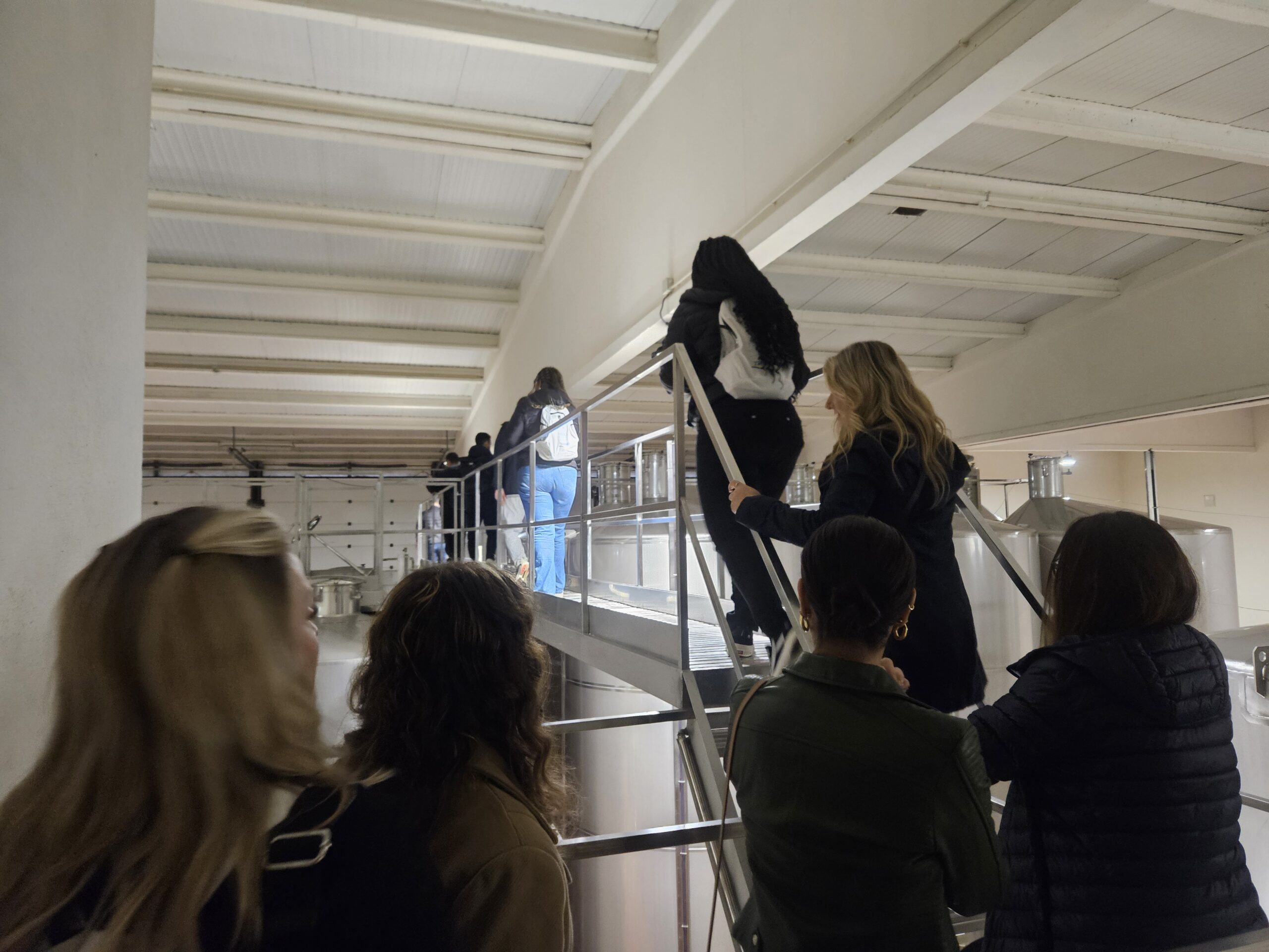 Tour pela vinícola de Santa Vitória Tour pela vinícola de Santa Vitória