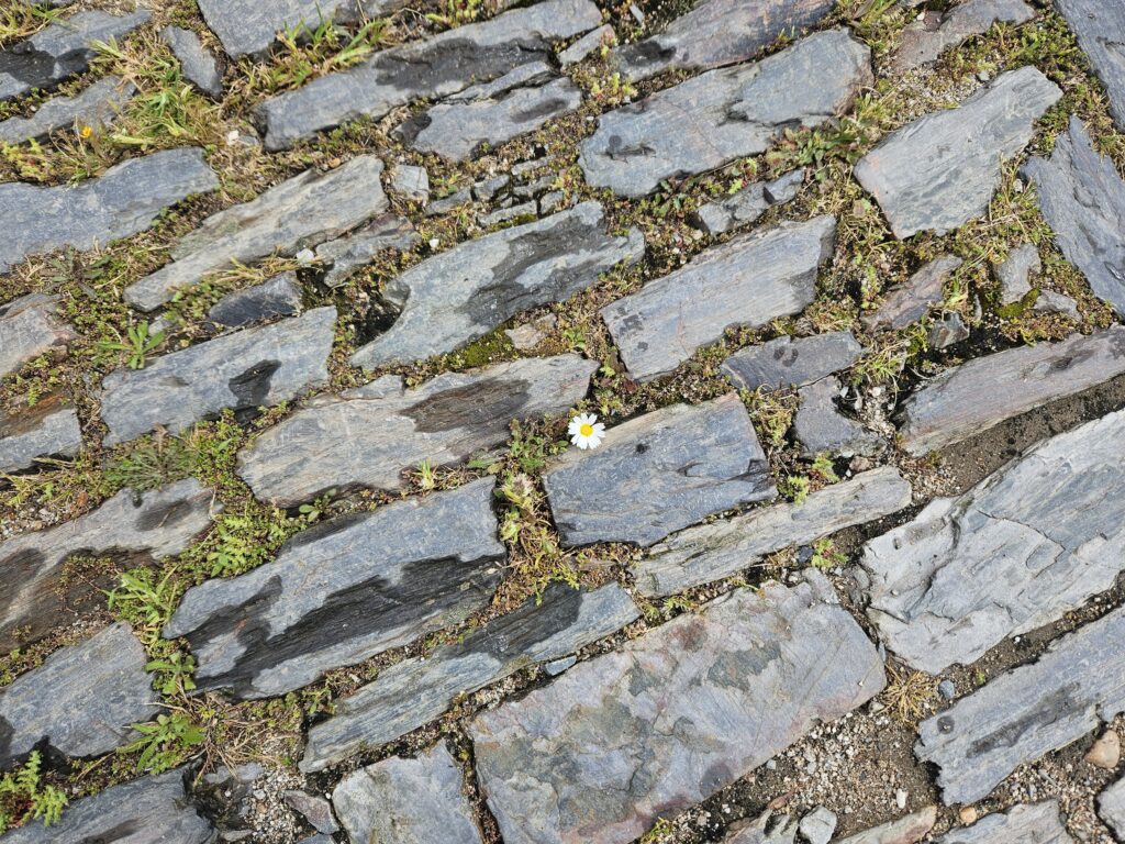 Os detalhes pelo caminho