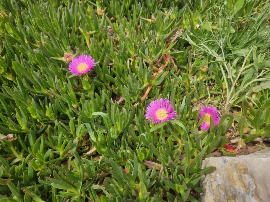 Detalhes pelo caminho