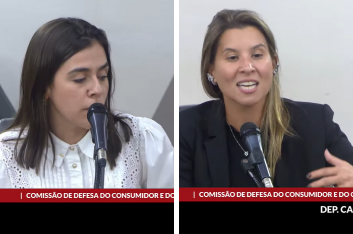 Deputadas denunciam má-fé da ViagensPromo e inércia do poder público em audiência na ALMG 1 Design sem nome 7 Deputadas denunciam má-fé da ViagensPromo e inércia do poder público em audiência na ALMG
