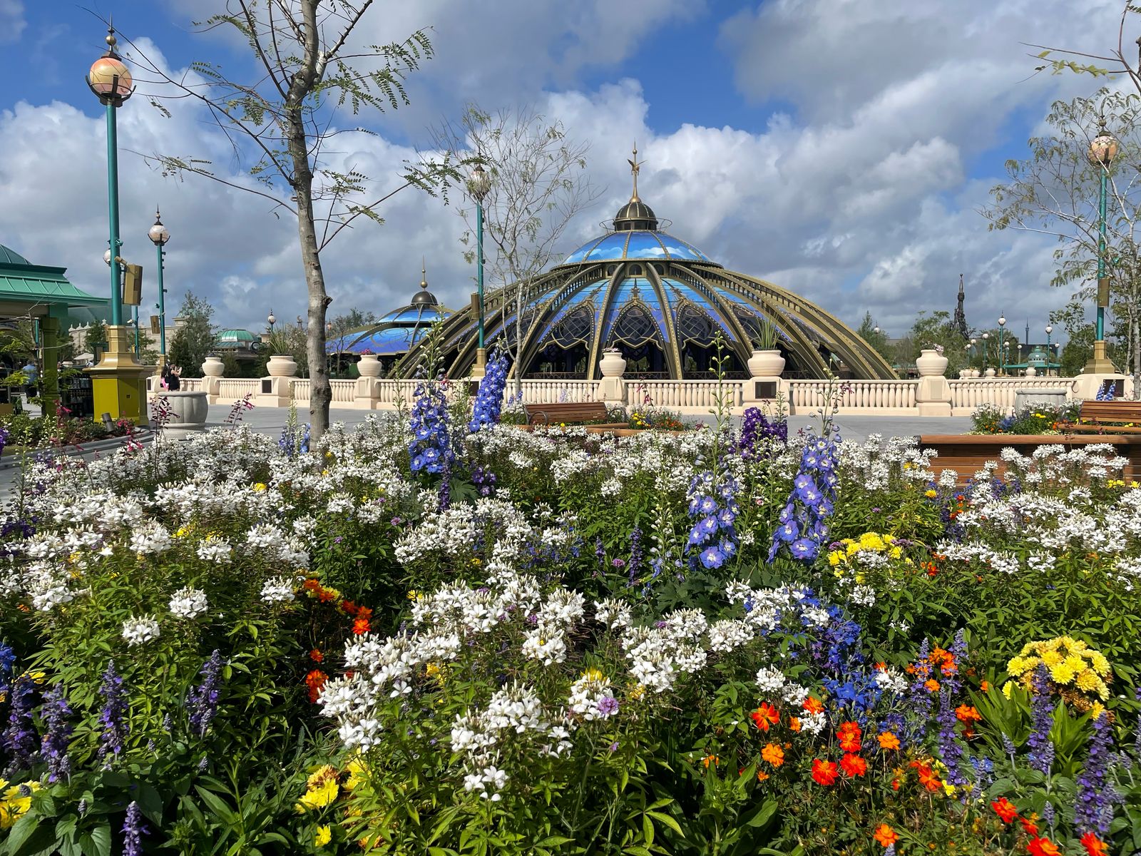 Detalhes do jardim florido